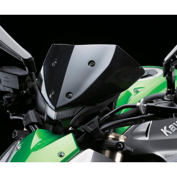 Kawasaki Meter Cover, Smoke